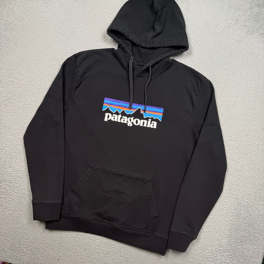 Patagonia Hooded Sweatshirt